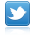Twitter Icon Twitter Icon